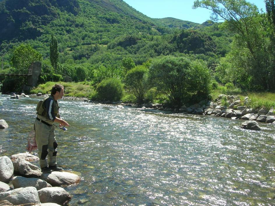 Medio Ambiente propone aumentar de 4 a 10 los permisos de trucha por pescador para la nueva temporada 2017 en Navarra